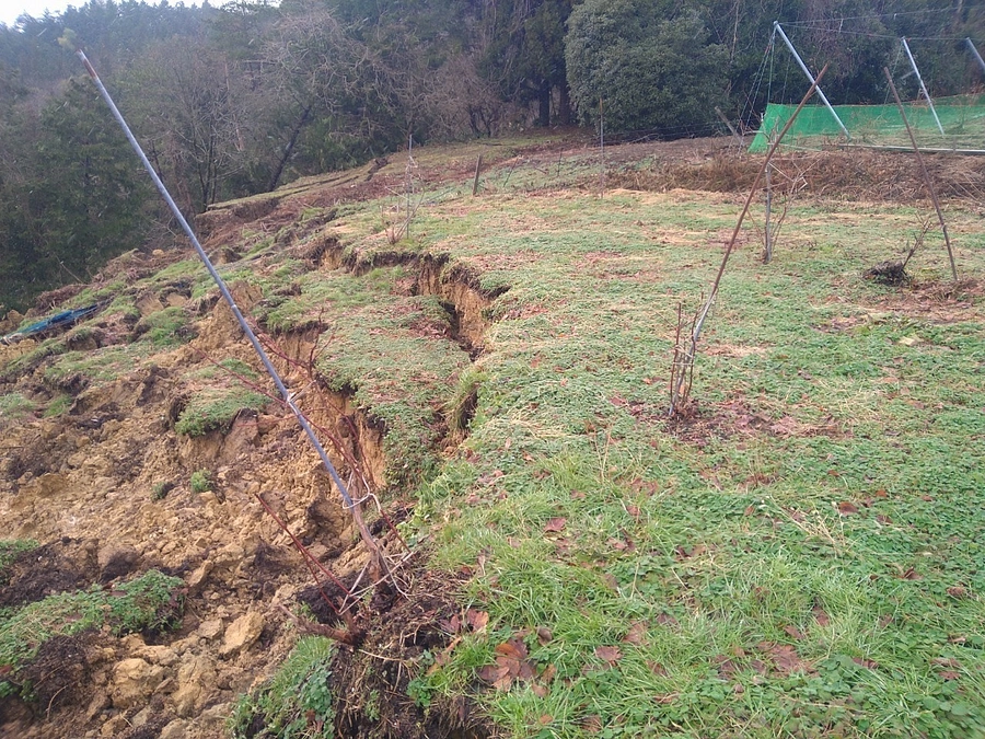 被害の大きかった山の畑を見てきました（能登チーム・平）