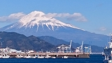 海事（海運・港湾）の発展に向けての課題解決を民官学で研究・提言 のトップ画像