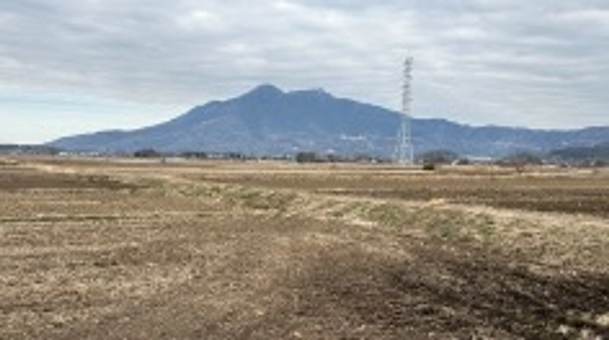 二十四節気　立春、七十二候　東風解凍(はるかぜこおりをとく)