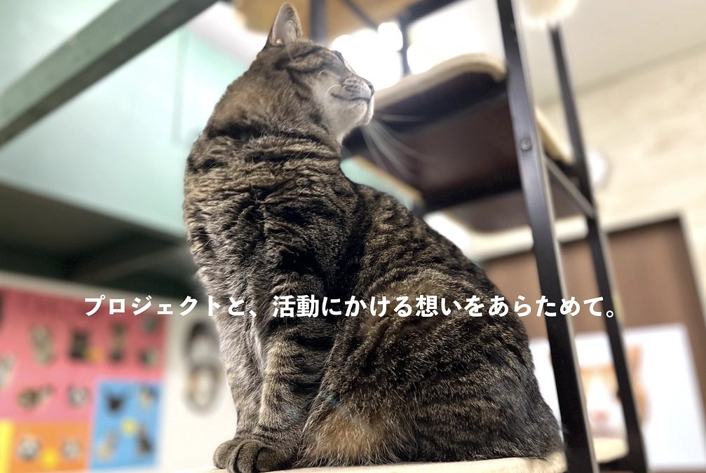 プロジェクトと、活動にかける想いをあらためて。
