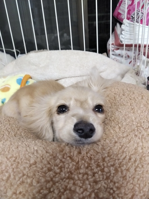 ★クラウドファンディング5日目★