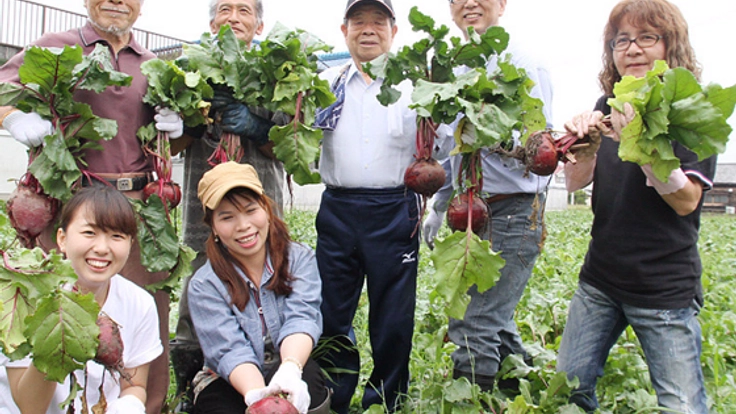 ロシア由来のビーツ「捕虜たちの赤かぶら」を新しい姫路名物に！