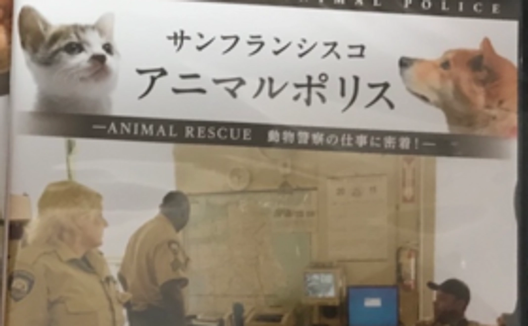 米国アニマルポリス DVDを送ります!