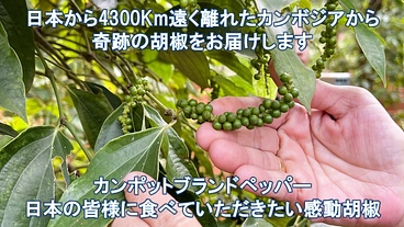 カンポットペッパーを未来へ、次の世代へ繋ぎたい！ のトップ画像