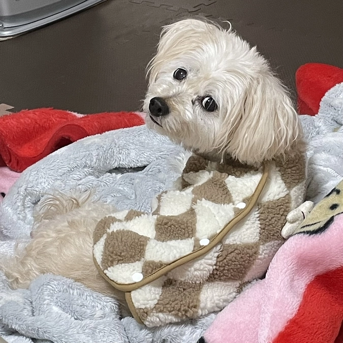 緊急再入院から4日目