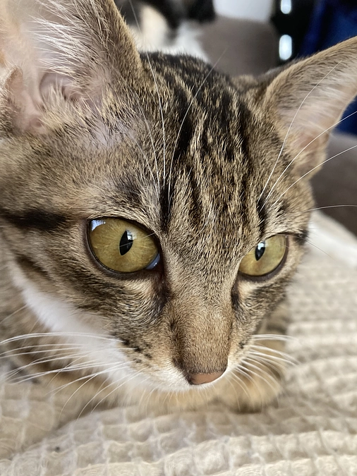 4/29の診察のご報告です