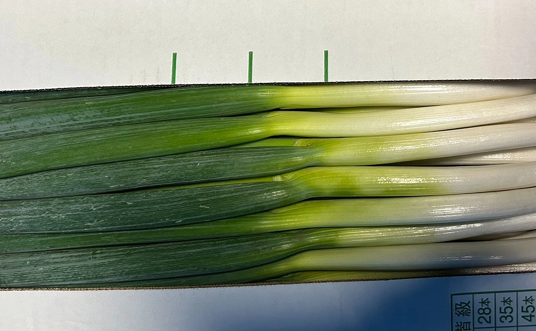 地元のお野菜とお礼のメッセージ