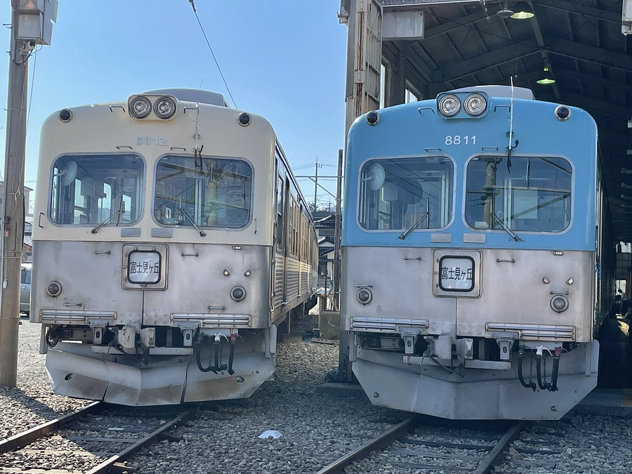 【残り11日】ご支援総額600万円突破！目標の2/3を突破！私たちは絶対に保存・帰還を諦めません。