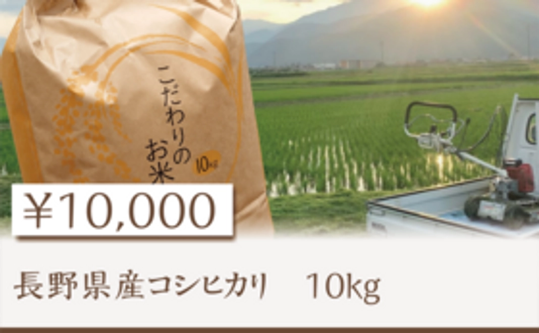 長野県産コシヒカリ　10kg