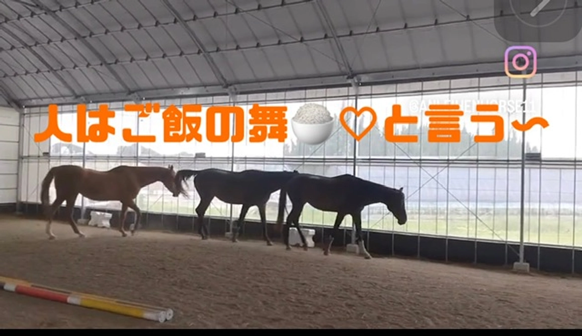 工事の経過その③