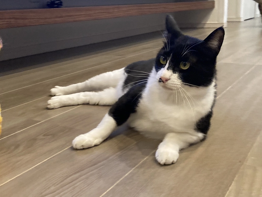 【みつぼし君】トライアル中のご報告と今月の予定