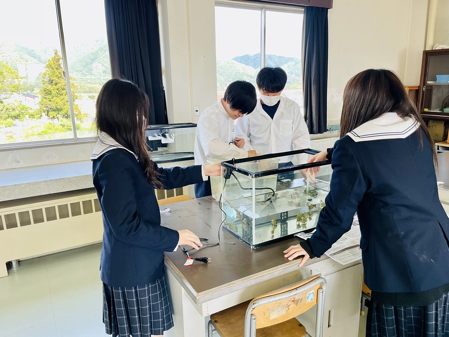 【猪苗代高校】探究学習の様子 ~猪苗代湖水環境班~