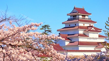 歴史好きによる、幕末歴史交流会を開催したい！！ のトップ画像