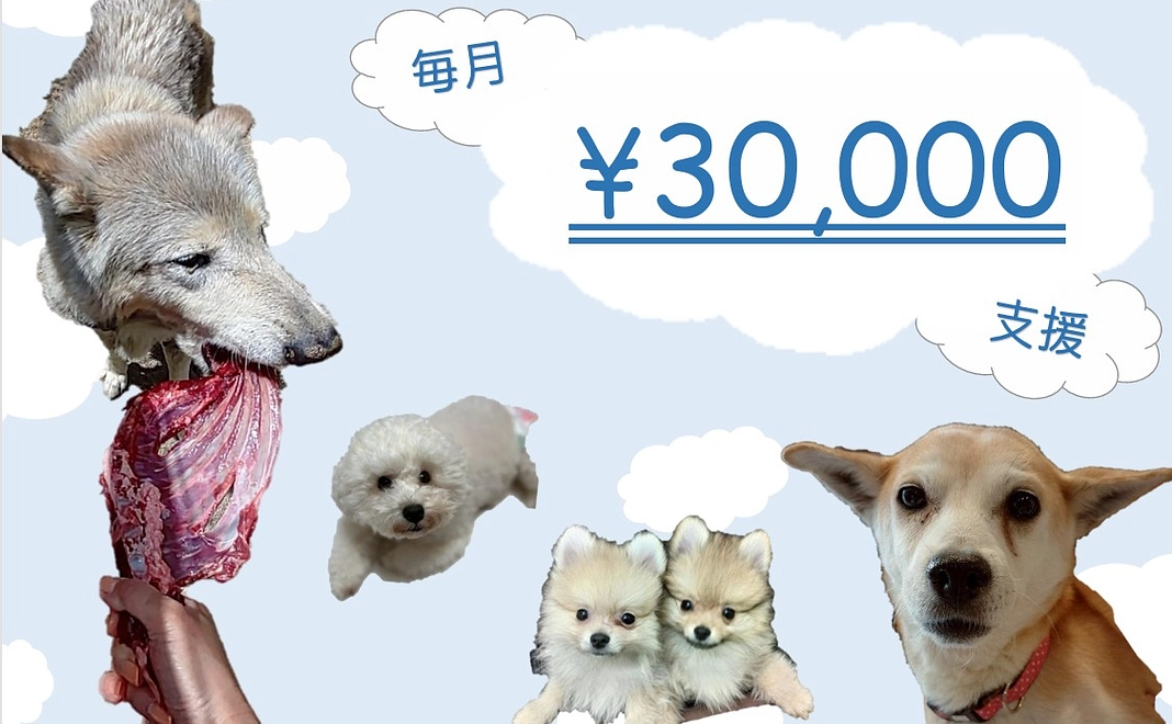 毎月30000円コース
