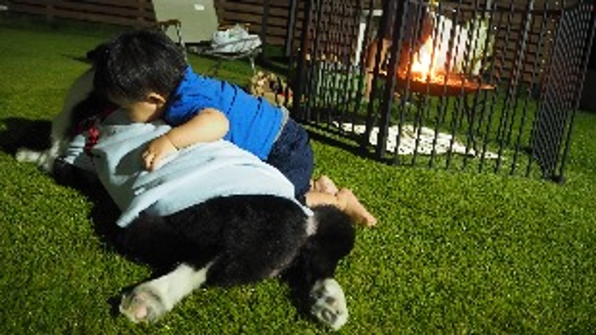 終了まで残り3日