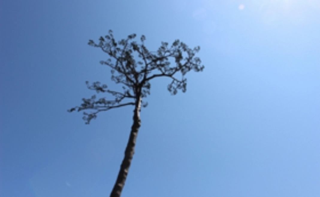 関本椎菜の活動を応援！