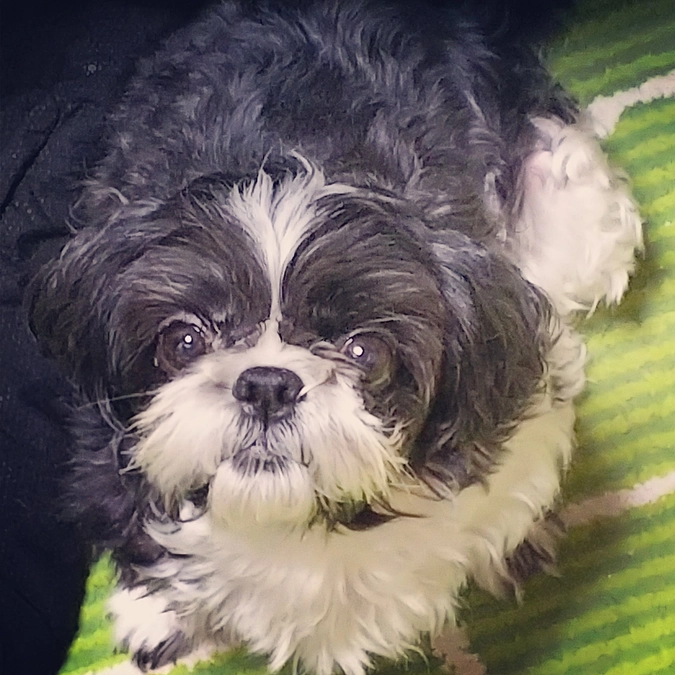 本日もご支援頂きました。ありがとうございます。