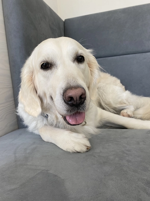 オリジナルTシャツのモデルは？？