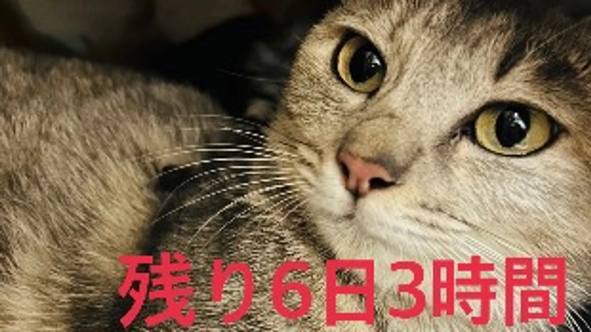 本文に足りていなかった疑問点に関して