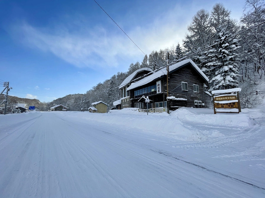 第２回目の調査を行いました！