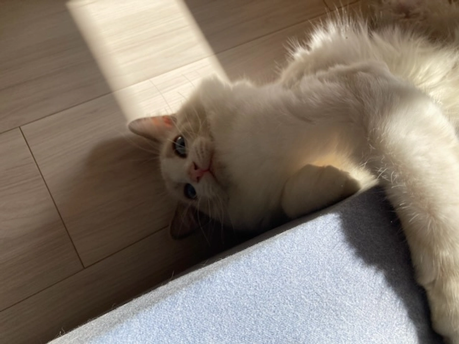 投薬３５日目(2023.4.16)