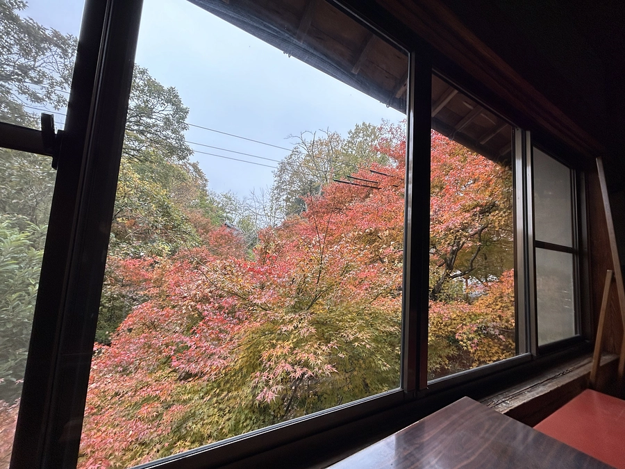 参集殿の中から外を見る光景