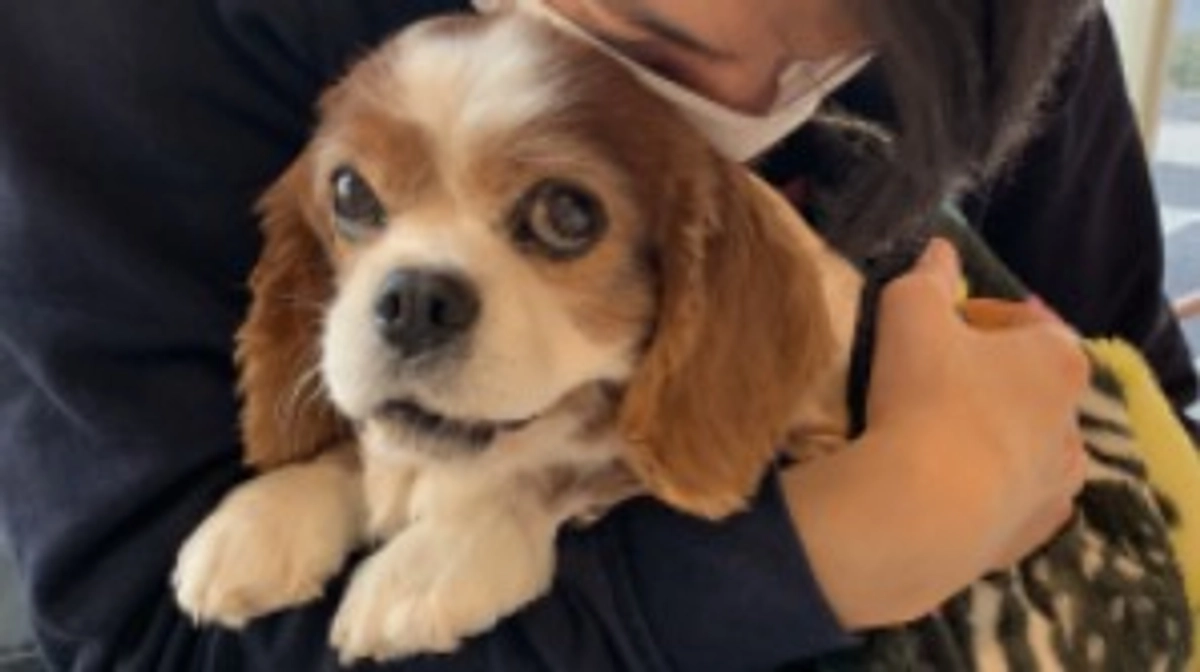 術後22日目。明日ついに退院となりました！！