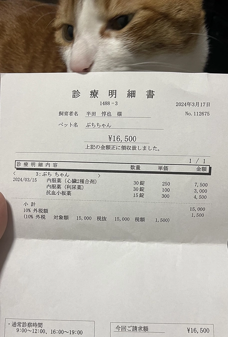 新しいお薬をもらいに。