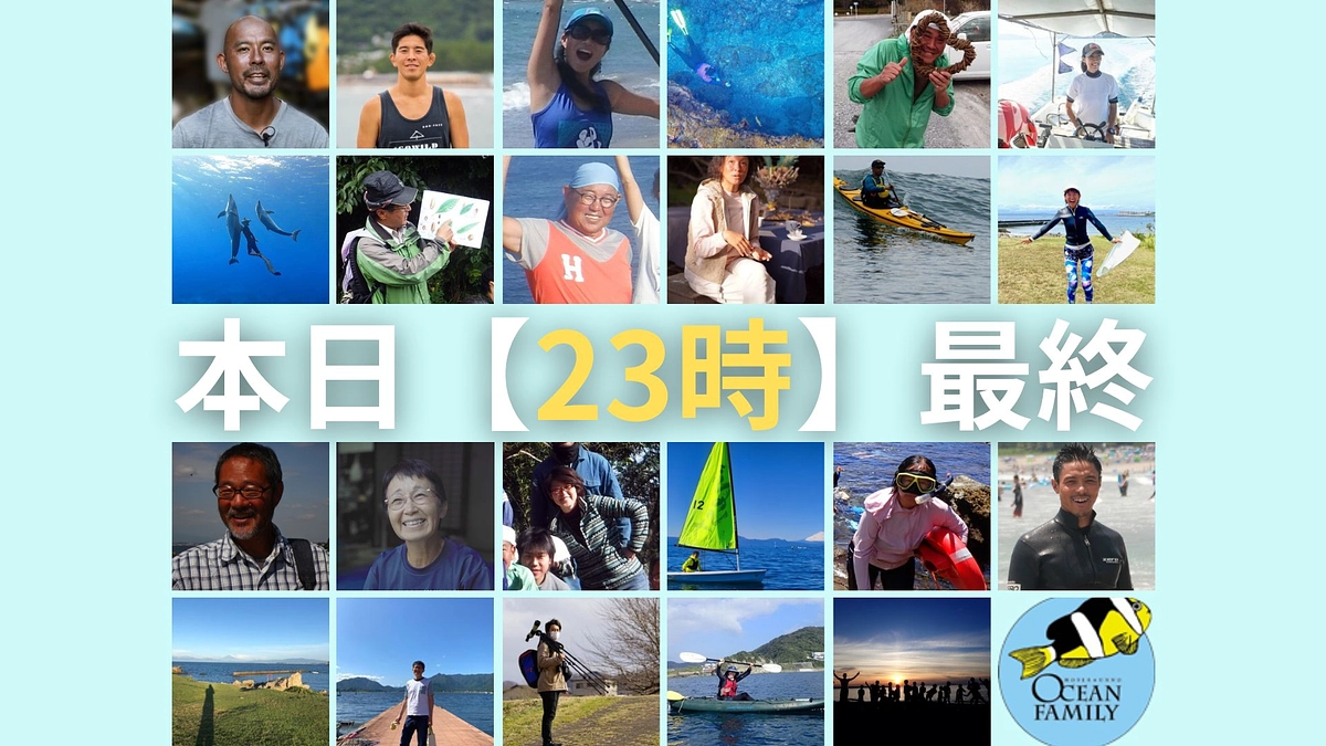 本日、23時迄！