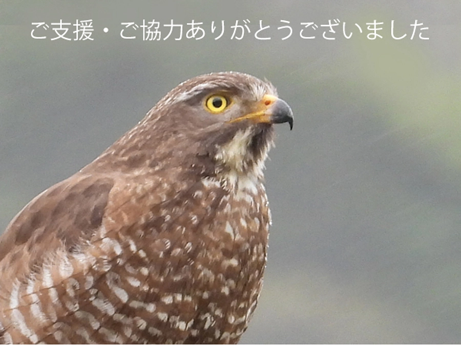 【御礼】クラウドファンディングが無事終了いたしました