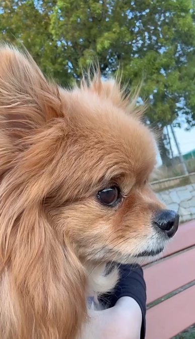 いつもの公園に戻ってこれました