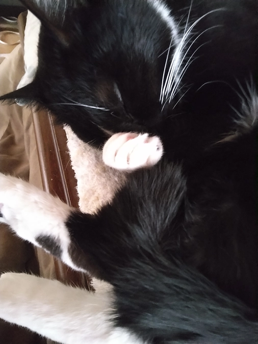 5/22はなちゃんの様子