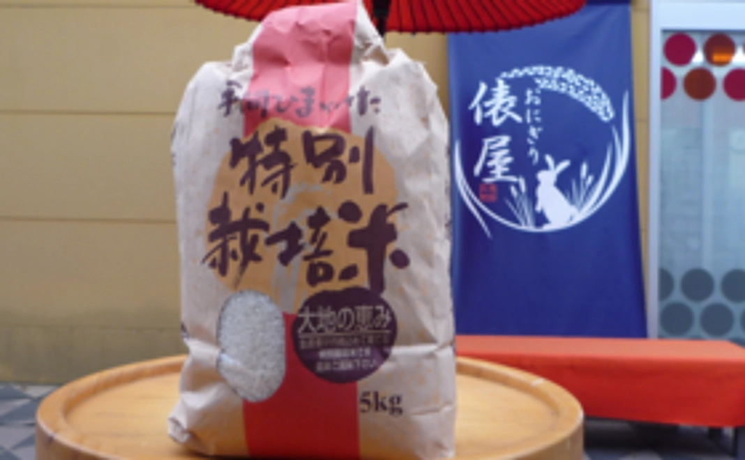 特A　鳥取県産「きぬむすめ」5kg