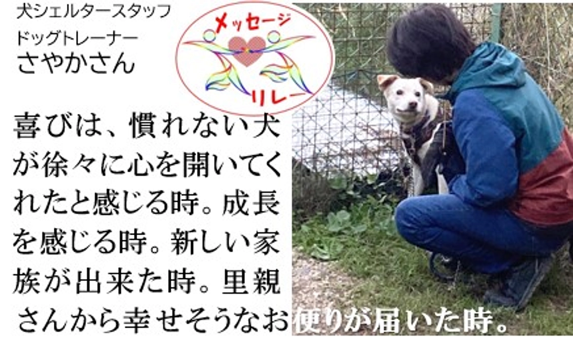 リレー１１．私たちに命を護る活動をさせて下さい。