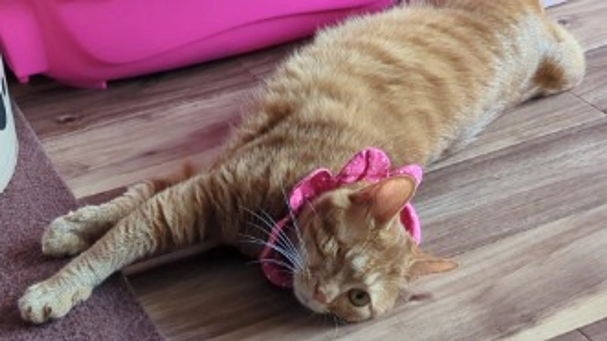 １年たちました😔