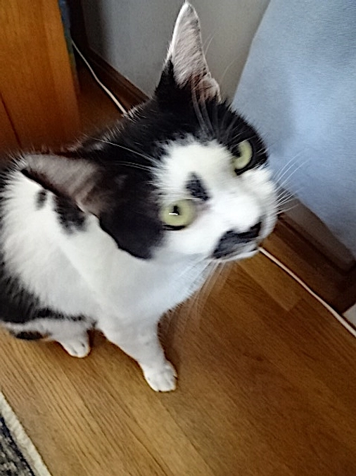 9月になりました。〜途中経過 臨時号〜　diary Vol.51