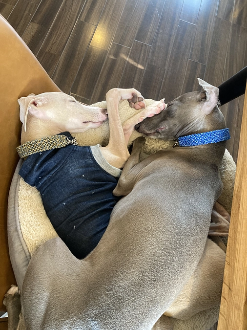 残り９日！達成率５８％です。おかげさまで残り９８８,８００円となりました。