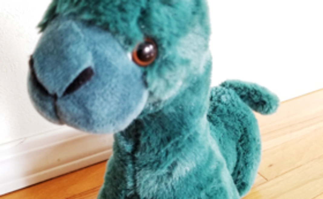 【気軽にサポートコース】　学生さんなども参加いただけます！