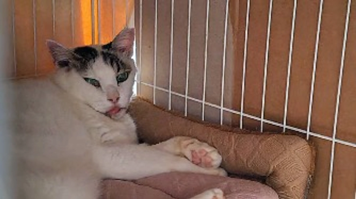 2024年9月8日現在の活動状況です。