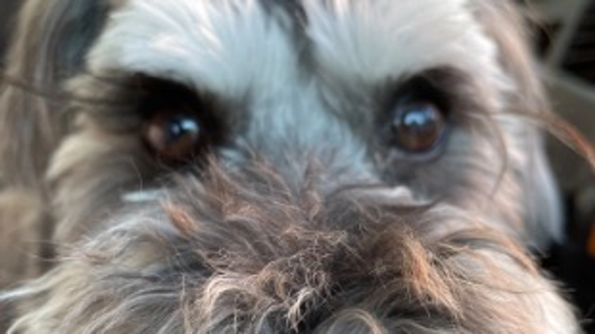 本日プロジェクト最終日！🙇