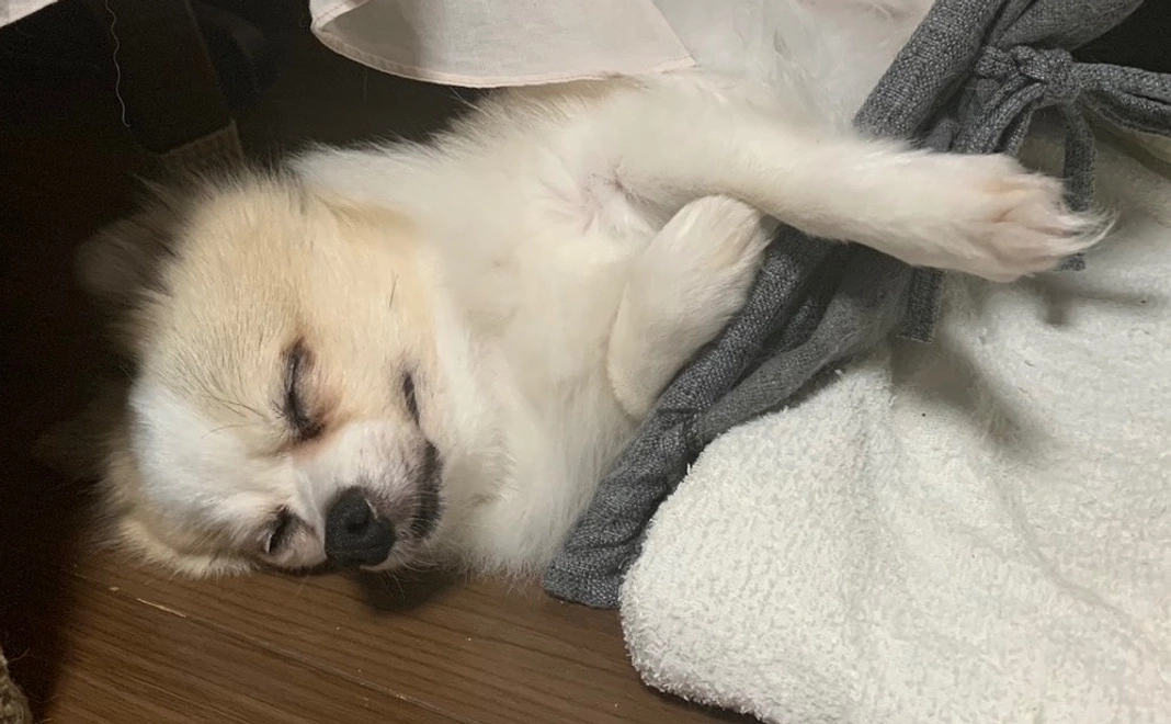 感謝のメール12