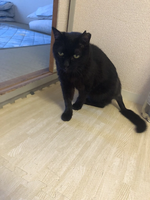 あと5日、ラストスパートです❗️