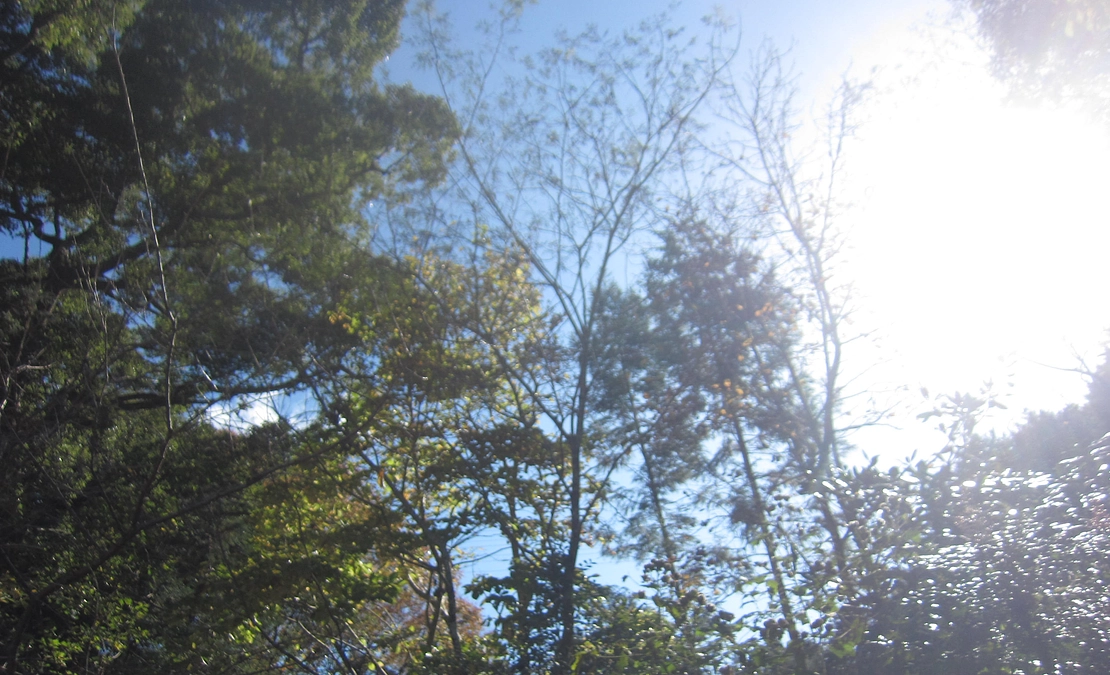 静かな祈りを能登の空へ