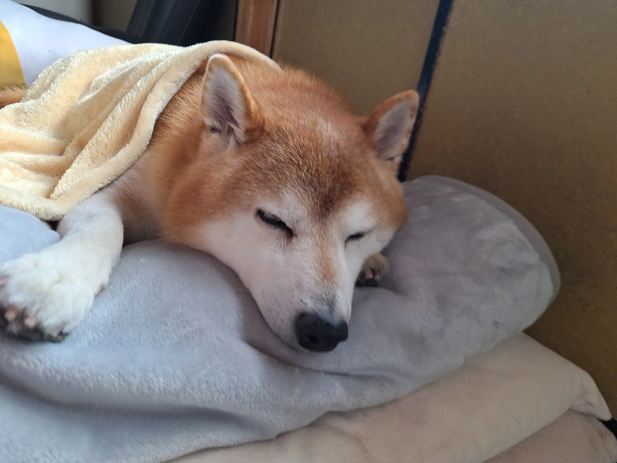 時間が、ありません！😢