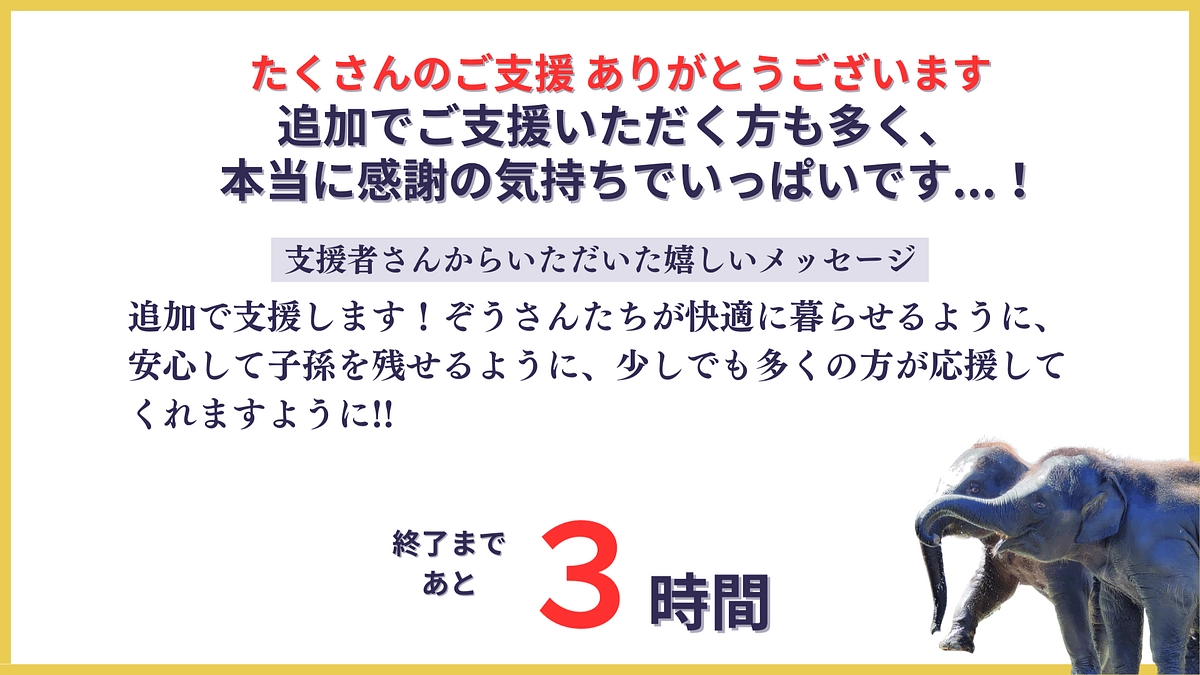 【残り３時間！】皆さんの応援が本当に力になります！