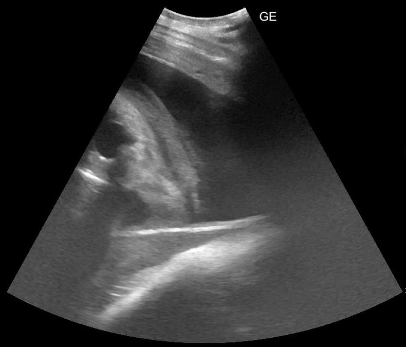メールマガジンの第１号を送らせていただきました
