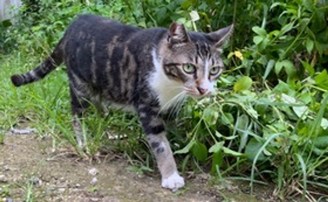 毎月30000円コース