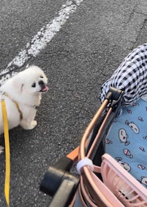 ご支援ありがとうございました。