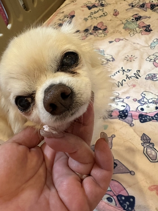 今日も多忙でした😨