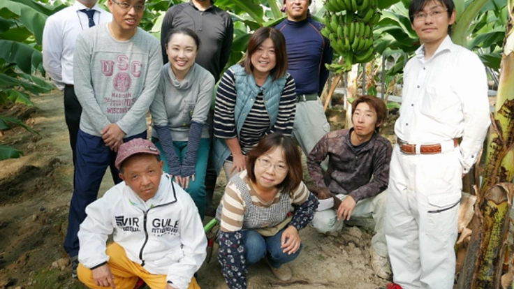 純国産おかやまバナナの栽培とB型就労施設とのコラボレーション